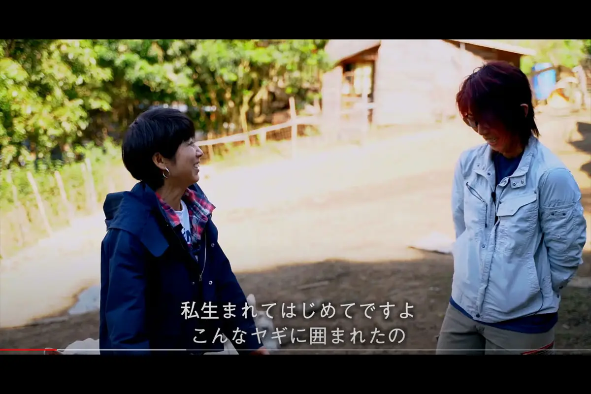 movie24-2